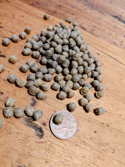 Salmon Bites